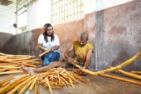 Ceylon Cinnamon Powder