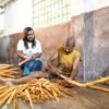 Ceylon Cinnamon Sticks